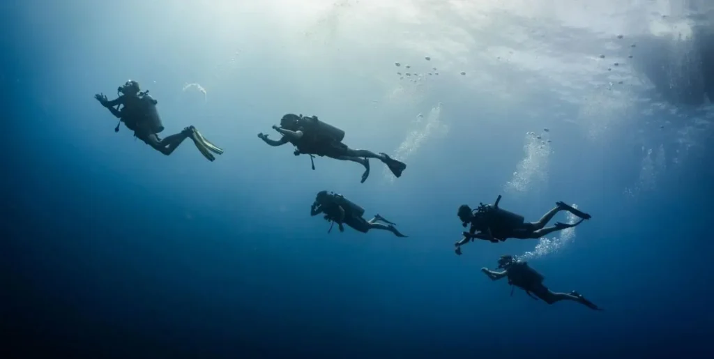 4. Roctopus Dive. 3.Sairee Cottage Diving. 2. Big Blue Diving. scuba diving koh tao