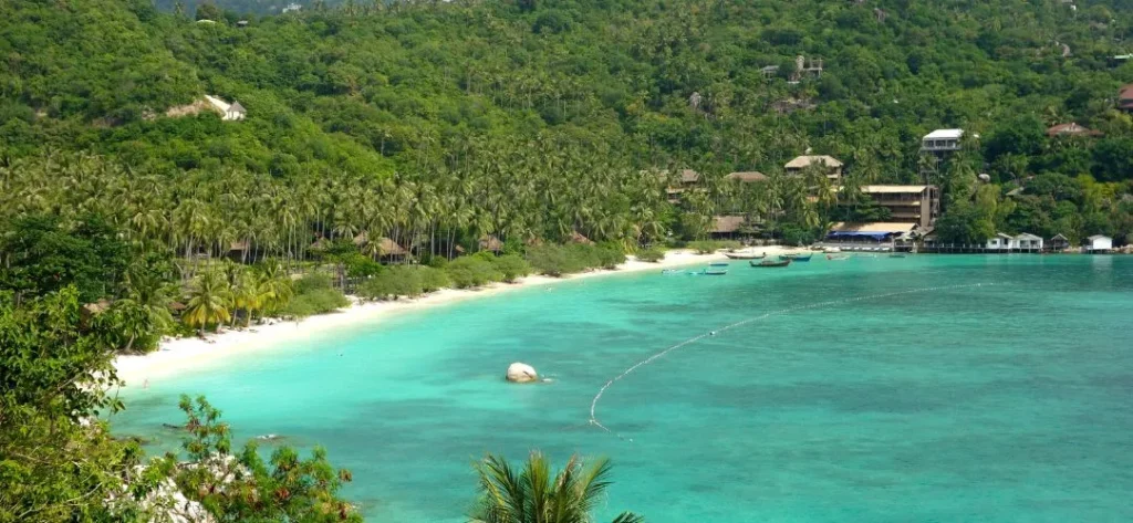 Shark Bay Koh Tao 001