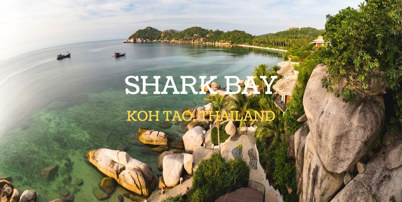 Shark Bay Koh Tao Cover 003